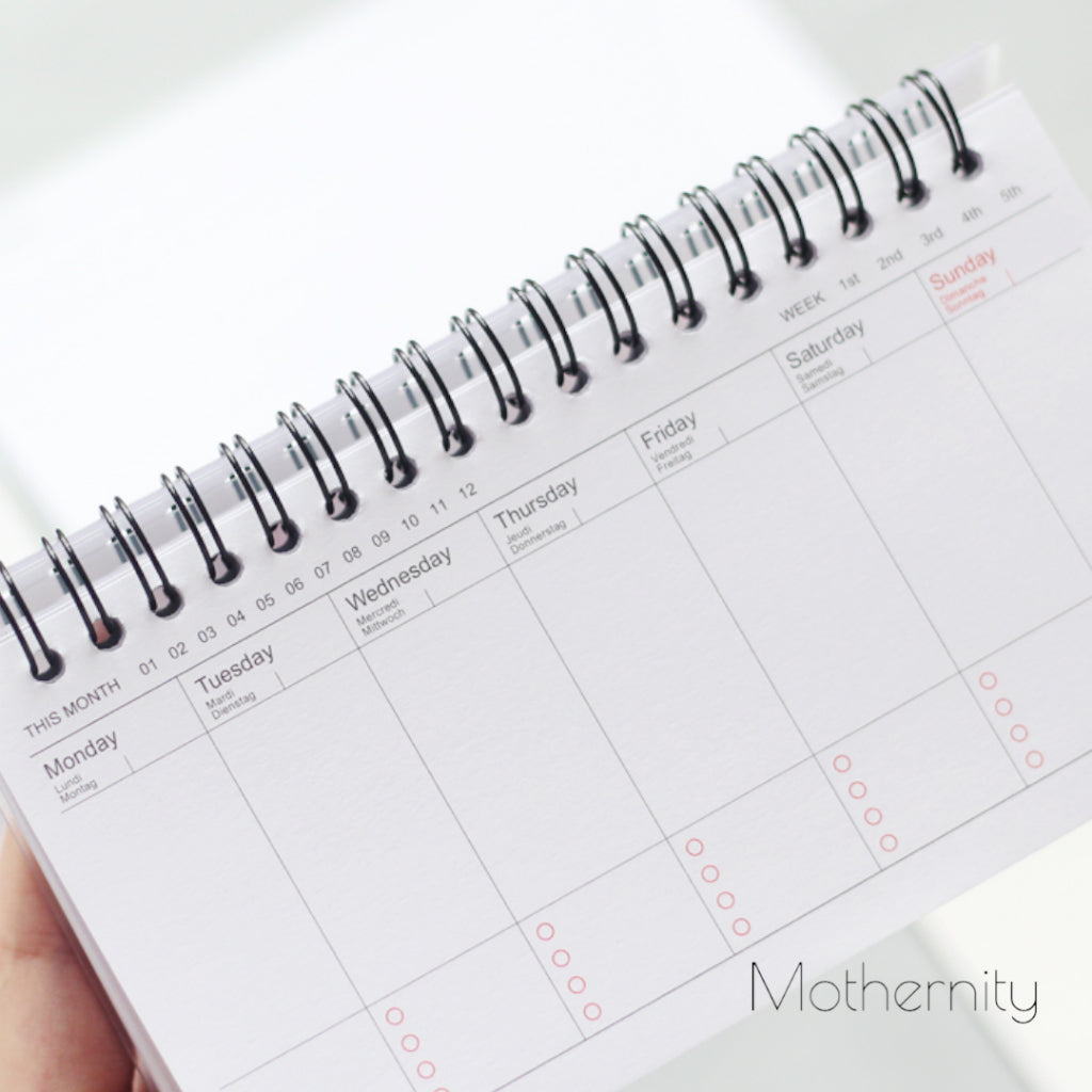 Weekly Planner Notebook A6 | Cute Spiral Double Coil | Undated Schedule Organizer 50 Sheets